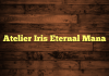 Atelier Iris Eternal Mana